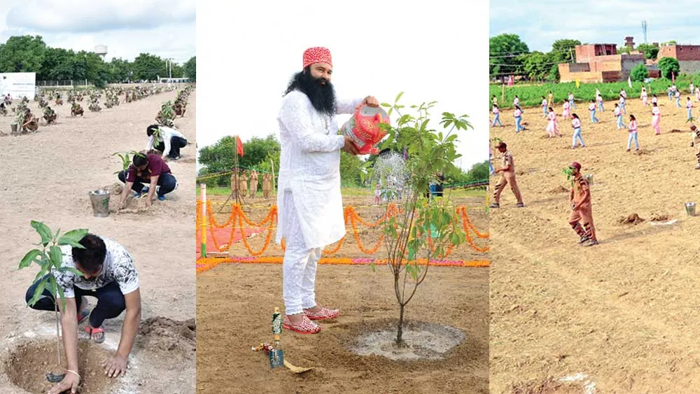 World Environment Day:- MSG ने हरियाली से महकाई धरा