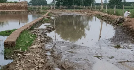 वरियाम खेड़ा में जोहड़ अवरफ्लो सड़कों, गलियों पर फैला गंदा पानी