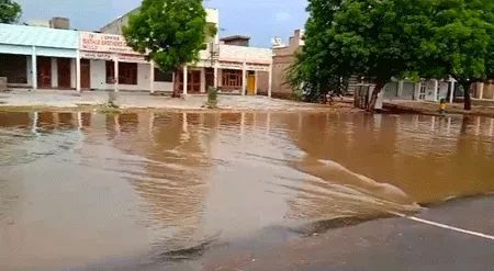 एक घंटे की बरसात से अनाज मंडी मेंं भरा दो-दो फुट पानी