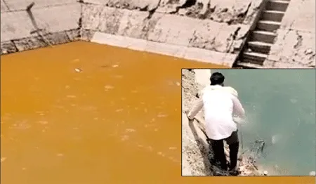 कल्लरखेड़ा के वाटर वर्क्स की डिग्गी में मरी सैंकडों मछलियां, जताया रोष