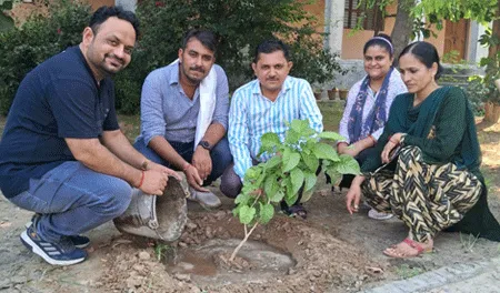 मां अम्बा बालिका डिग्री कालिज में शिक्षको ने किया पौधारोपण