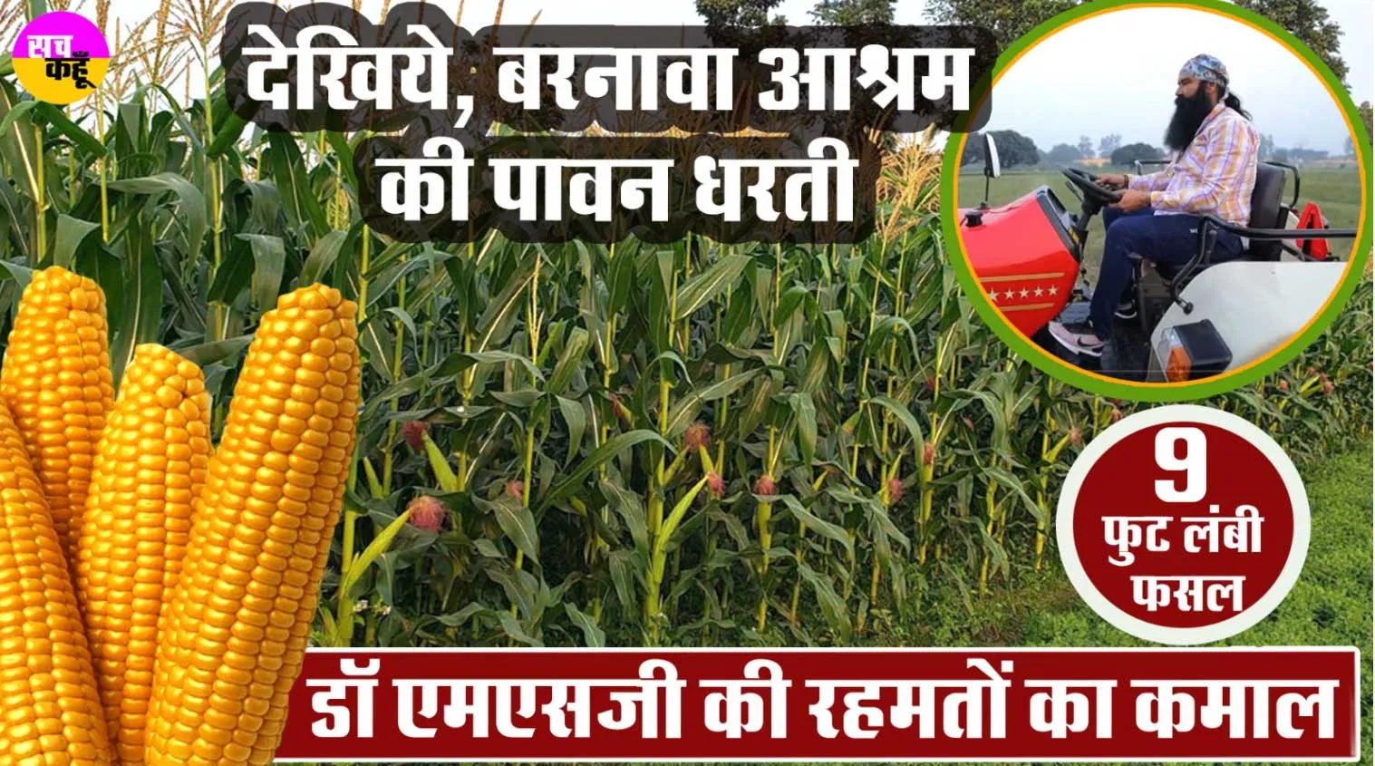 देखिये, बरनावा आश्रम की पावन धरती, जहां एमएसजी की रहमतों का हो रहा कमाल