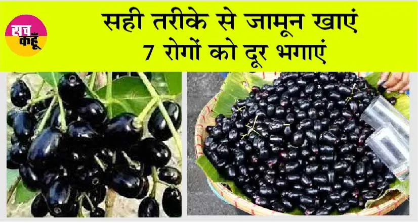 Benifits Of Blackberry: सही तरीके से जामुन खाएं, 7 रोगों को दूर भगाएं