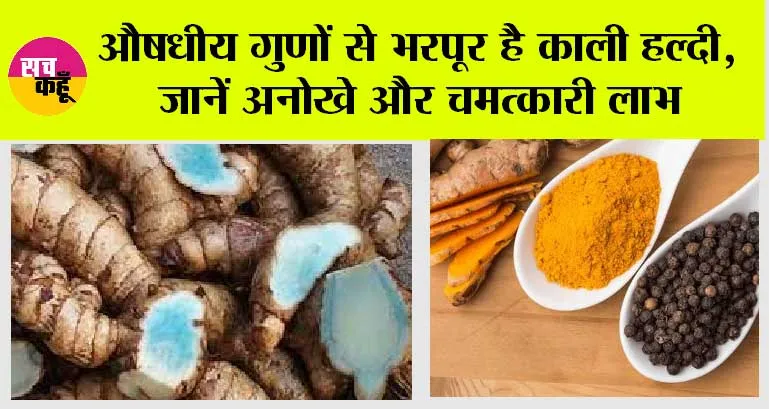 Black Turmeric: औषधीय गुणों से भरपूर है काली हल्दी, जानें अनोखे और चमत्कारी लाभ