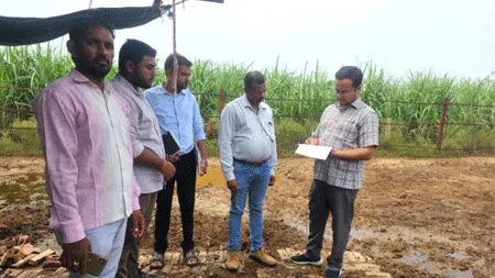 डी डी ओ ने किया तीन गौशालाओं का आक्समिक निरीक्षण