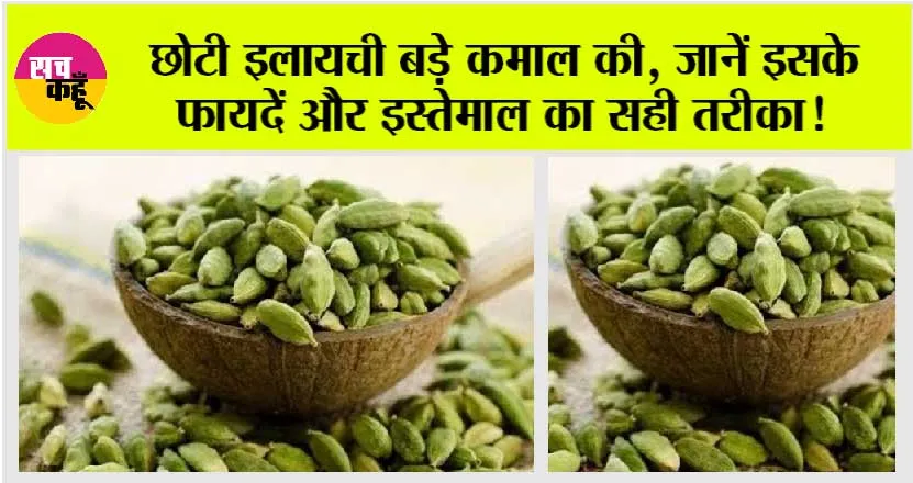 Cardamom Benefits: छोटी इलायची बड़े कमाल की, जानें इसके फायदें और इस्तेमाल का सही तरीका!