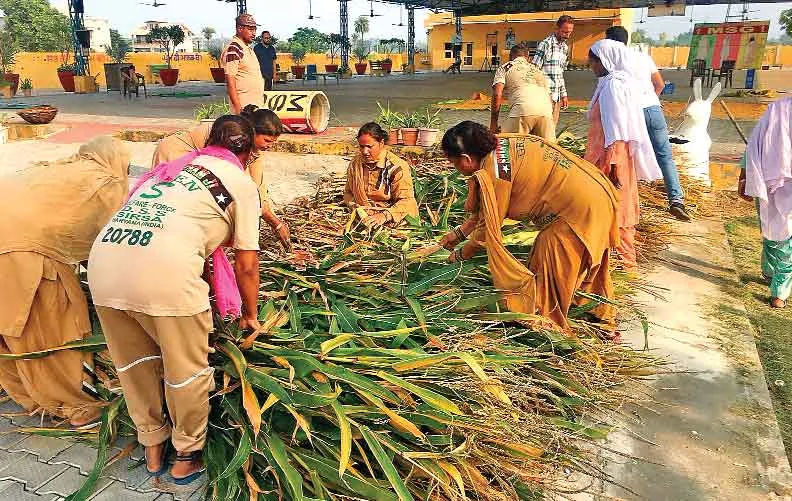 Punjab Flood : डेरा श्रद्धालुओं ने पशुओं की भूख मिटाने का भी उठाया बीड़ा