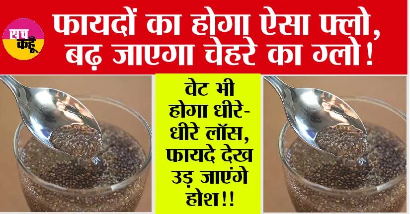 Chia Seed: फायदों का होगा ऐसा फ्लो, बढ़ जाएगा चेहरे का ग्लो!