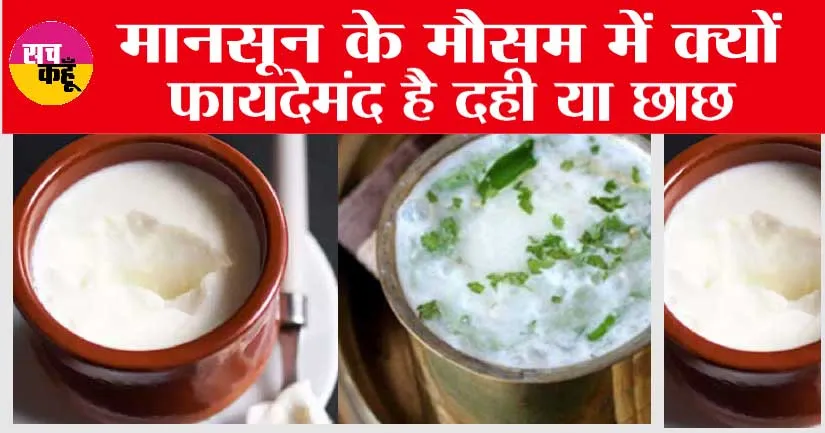 Curd Vs ButterMilk: मानसून के मौसम में क्यों फायदेमंद है दही या छाछ