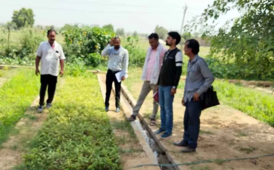 जिले में वृक्षारोपण सघन अभियान 15 जुलाई से 