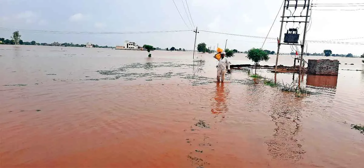 फतेहाबाद जिले की सहायता के लिए पहुंची आर्मी की चार टुकड़ियां