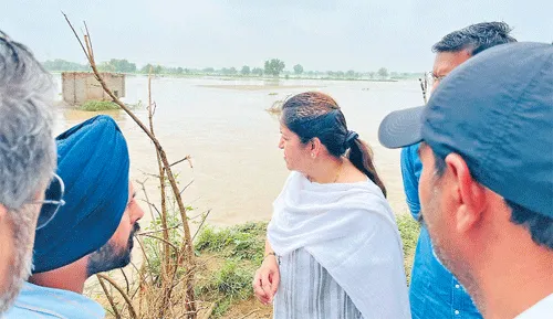 डीसी ने मलूकपुरा नहर का किया दौरा