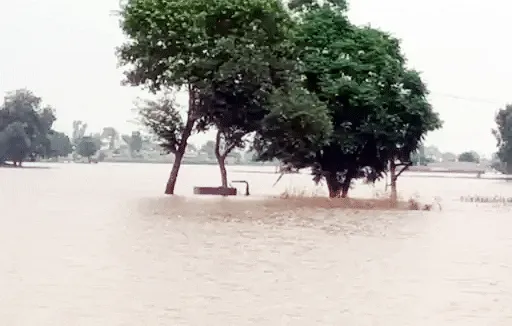 फाजिल्का में सतलुज का जलस्तर बढ़ा