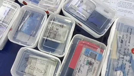ये हेलो गैंग के शातिर चोर पलक झपकते ही कर देते थे वारदात