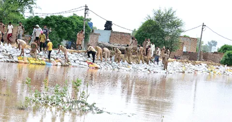 बाढ़ पीड़ितों का दर्द बांट रहे डेरा सच्चा सौदा के सेवादार