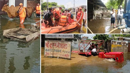 हरनंदी का रौद्र रूप देख सहमे लोग 