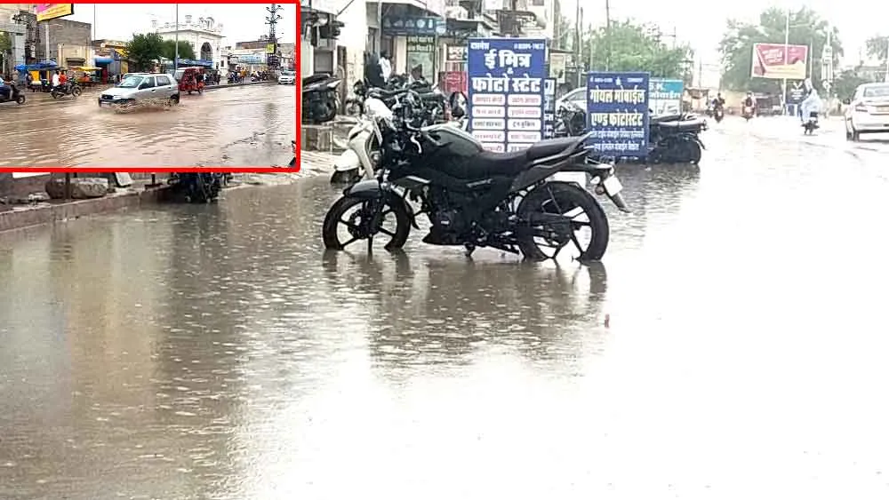 Rajasthan Weather: झमाझम बारिश, भाखड़ा क्षेत्र की फसलों को जीवनदान