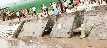 Haryana Flood