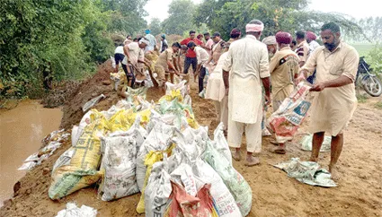 बरसात में बांध मजबूत करने पहुंचे शाह सतनाम जी ग्रीन एस वेलफेयर फोर्स विंग के सेवादार