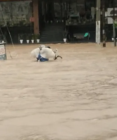 Weather Update: बारिश के बाद आई तबाही, अब तक 19 लोगों की मौत, हिमाचल की 736 सड़कें बंद