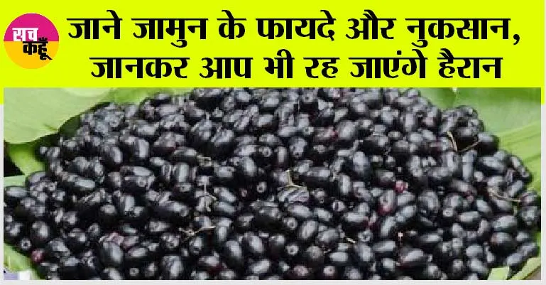 Jamun Benefits And Side Effects: जाने जामुन के फायदे और नुकसान, जानकर आप भी रह जाएंगे हैरान