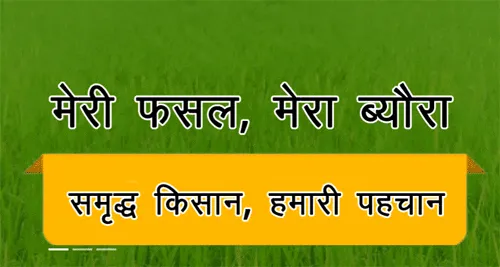 मेरी फसल-मेरा ब्यौरा पर पंजीकरण करवाने की अंतिम तिथि 31 जुलाई -उपायुक्त सिवाच