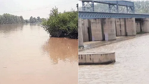 सरसा में ओटू हेड के सभी गेट खोले