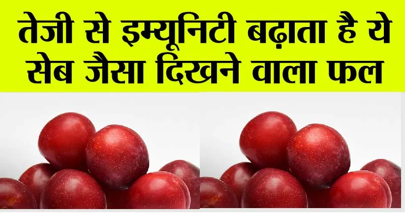 Plum Benefits: तेजी से इम्यूनिटी बढ़ाता है ये सेब जैसा दिखने वाला फल