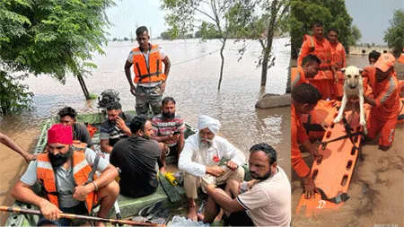 ग्रामीण क्षेत्रों में स्थिति बेहाल, हर तरफ पानी ही पानी