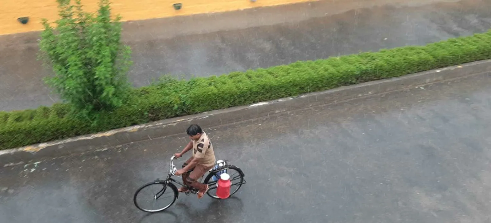 rain