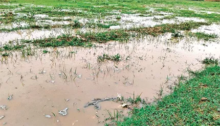 बारिश से हुई सावन माह की शुरूआत, गर्मी से मिली राहत, गिरा तापमान