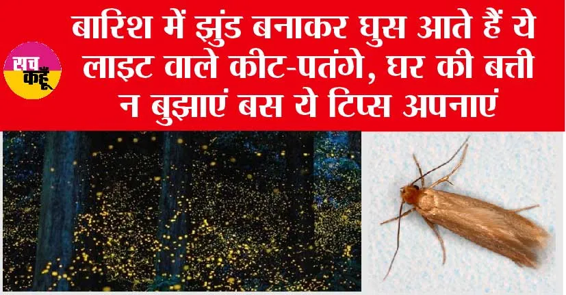 Rainy season insects: बरसात के दिनों कीड़ों को घर में प्रवेश करने से रोकने के टिप्स