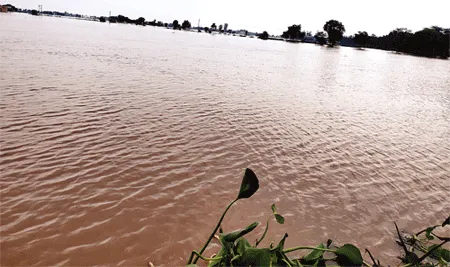 घग्गर उफान पर, सरसा और फतेहाबाद में हालात खराब
