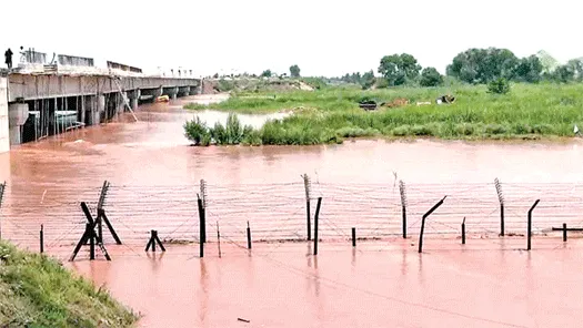 Sirsa Flood News