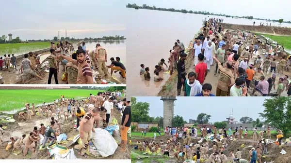 Sirsa Flood: सरसा में बाढ़ के खतरे को टालने के लिए जी-जान से जुटे ग्रीन एस के सेवादार