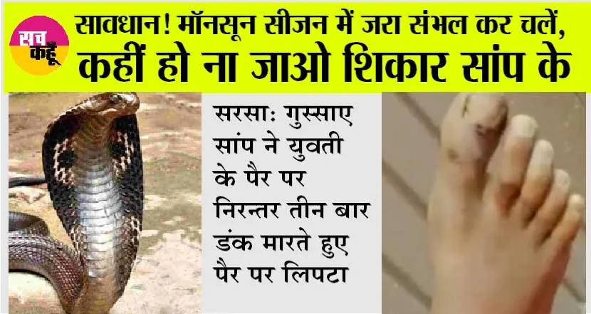 Cobra Snake Bite: बहुत ही बड़ी घटना, जहरीला कोबरा के काटने से 19 वर्षीय युवती की हुई मौत के बाद कैसे पकड़ा कोबरा?