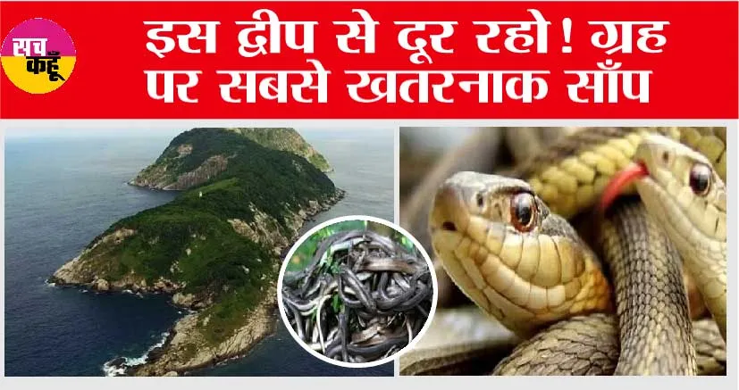 Snake: इस सांप का जहर चमड़ी तक गला देता है