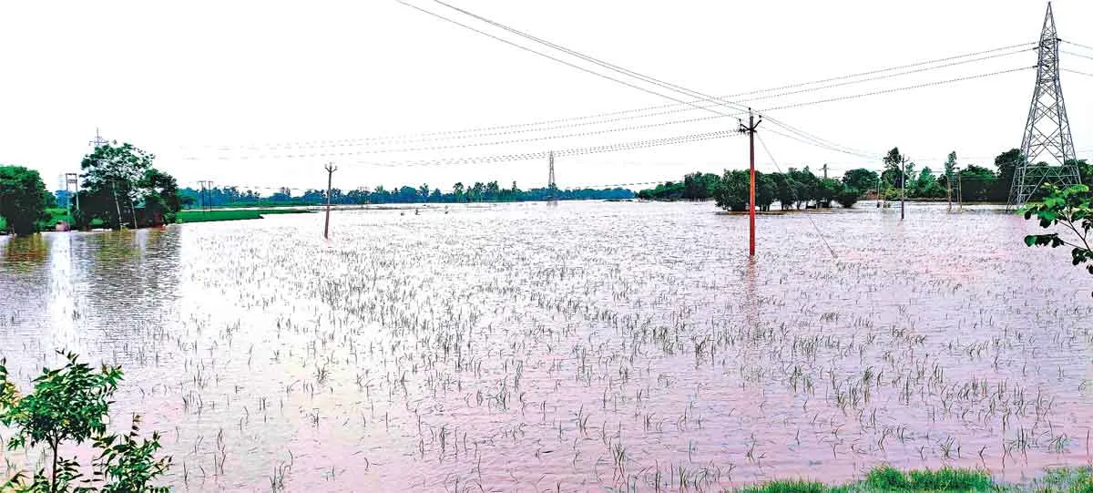 सरहन्द चोय में पानी का स्तर हुआ कम, राहत