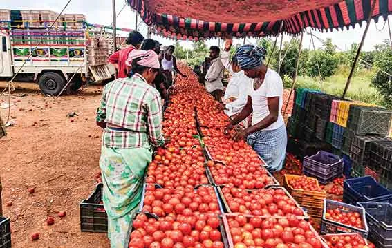 Dearness: सब्जियों के तल्ख तेवर और बढ़ती महंगाई