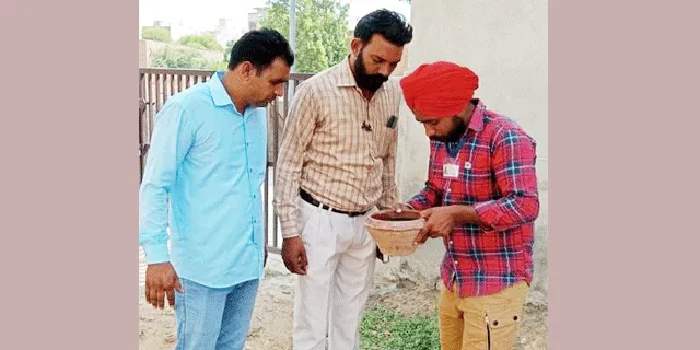 अबोहर में 30 हजार घरों में हुई डेंगू की जांच
