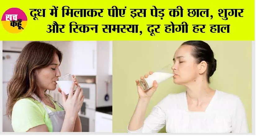 Arjuna Bark: दूध में मिलाकर पीएं इस पेड़ की छाल, शुगर और स्किन समस्या, दूर होगी हर हाल