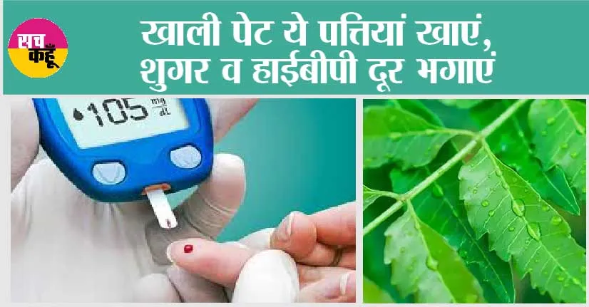 Blood Sugar And Blood Pressure: खाली पेट ये पत्तियां खाएं, शुगर व हाईबीपी दूर भगाएं