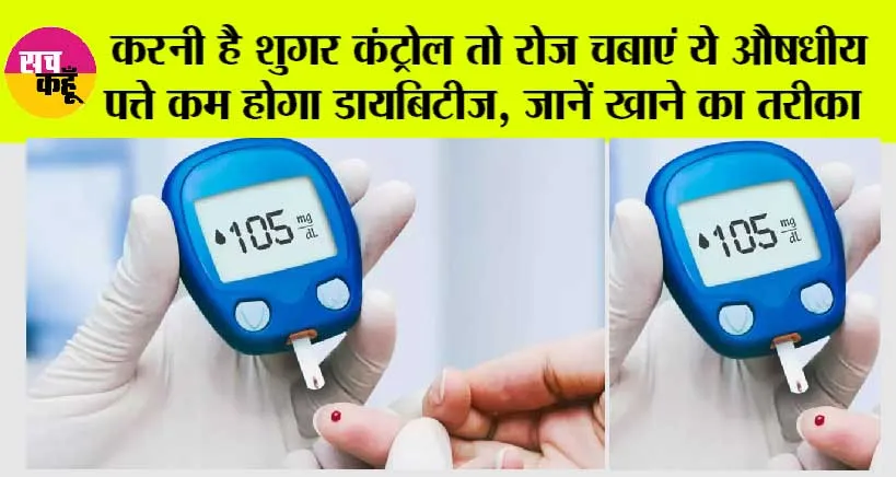 Blood Sugar Home Remedy: इसके चार पत्ते रोज चबा लो शुगर के लिए अमृत है…