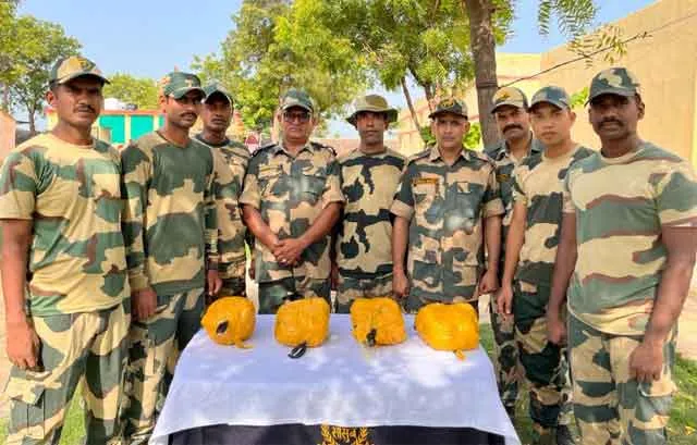 BSF: पाक की फिर नापाक हरकत, ड्रोन से फेंकी 55 करोड़ की हेरोइन