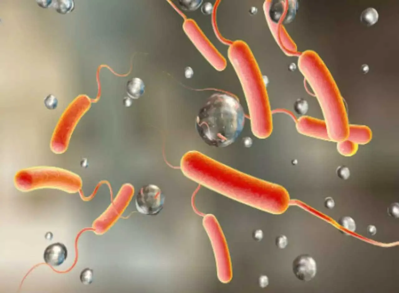 Cholera: हैजा से 30 लोगों की मौत, डब्ल्यूएचओ ने जताई चिंता