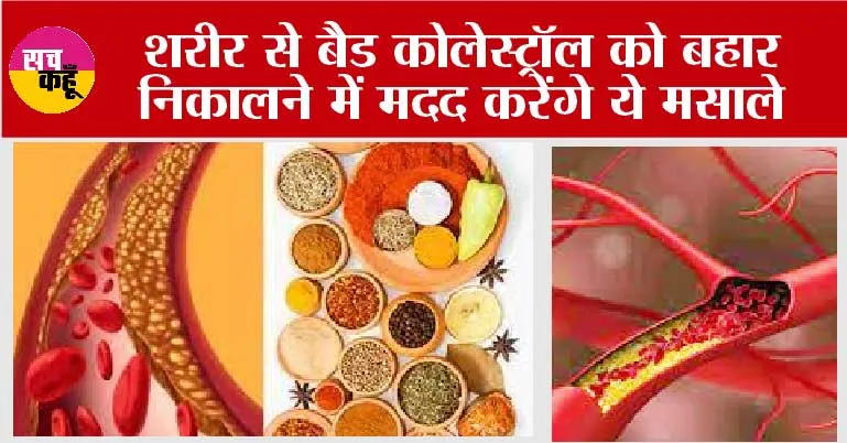 How To Control Cholesterol Level: शरीर से बैड कोलेस्ट्रॉल को बहार निकालने में मदद करेंगे ये मसाले
