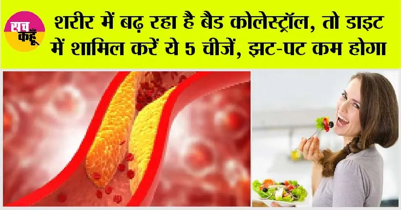 Cholesterol Control Foods: शरीर में बढ़ रहा है बैड कोलेस्ट्रॉल, तो डाइट में शामिल करें ये 5 चीजें, झट-पट कम होगा कोलेस्ट्रॉल
