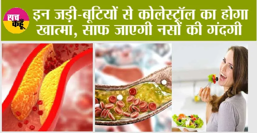 Cholesterol Remedy: बिना दवा कोलेस्ट्रॉल कंट्रोल करने रामबाण घरेलू इलाज