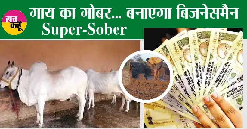 Cow Dung: रह जाएगा मलाल गर गोबर से नहीं बनें मालामाल