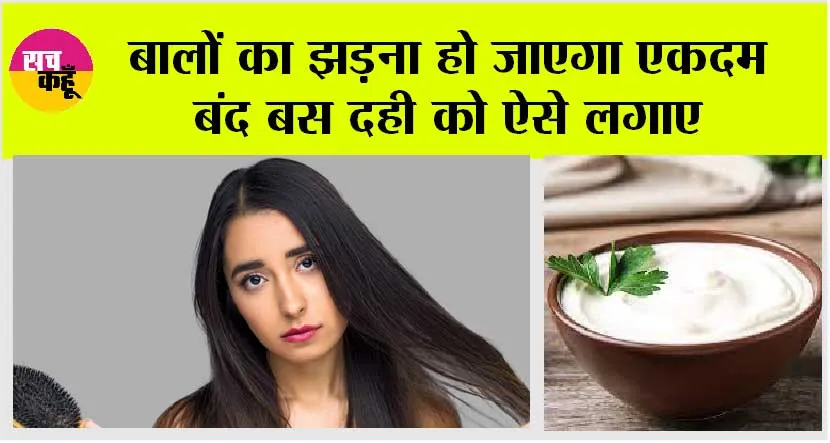 Curd For Hair Growth: बालों का झड़ना हो जाएगा एकदम बंद बस दही को ऐसे लगाए